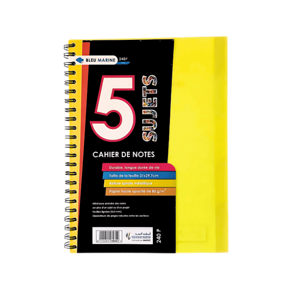 Cahier 5 sujets – petits format petit carreaux– 240 pages